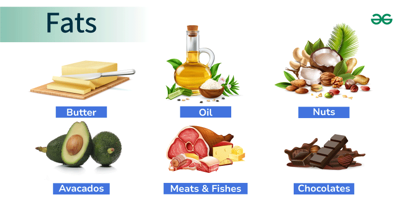Top Factor 3: Fat Intake